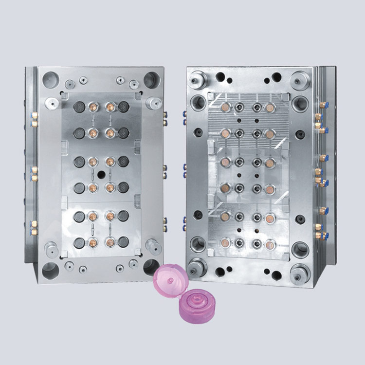 12 cavity Flip Top Cap Mould