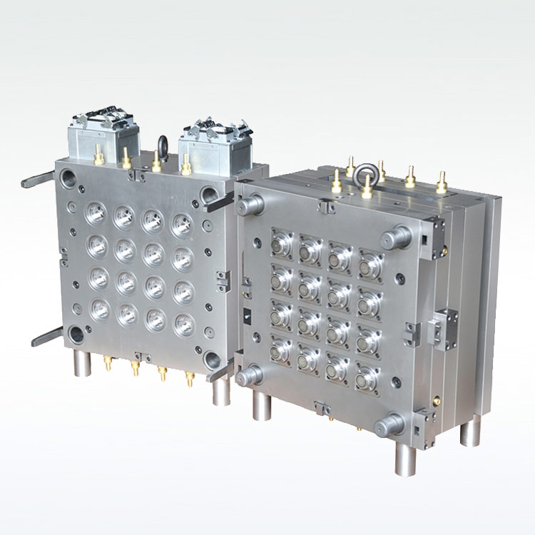 Mineral Water Closure cap Molds